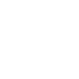 SF – Lion – Right – 256px – White